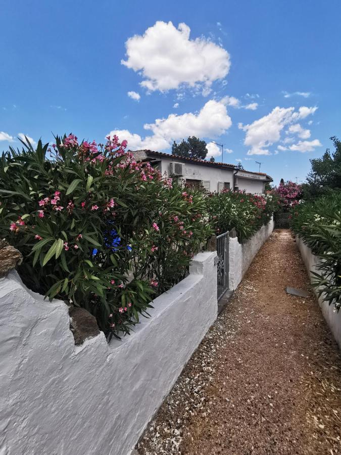 Casa Ichnos Appartement *